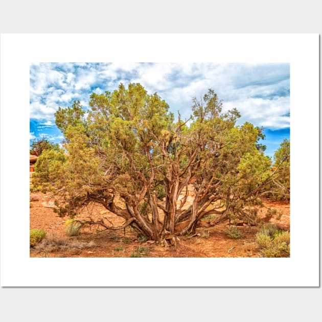 Juniper Tree, Capitol Reef National Park Wall Art by Gestalt Imagery